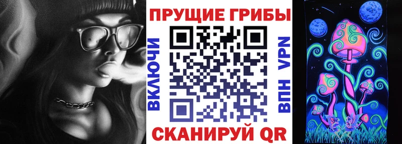 Галлюциногенные грибы Cubensis  darknet Telegram  Стерлитамак 
