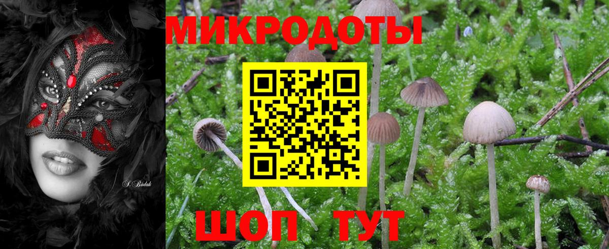 Галлюциногенные грибы Psilocybine cubensis  Вход с VPN  Стерлитамак 